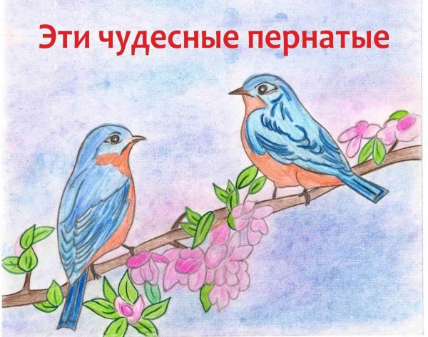 птица рисунки