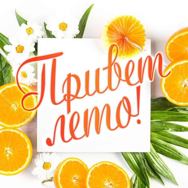 сочные апельсины