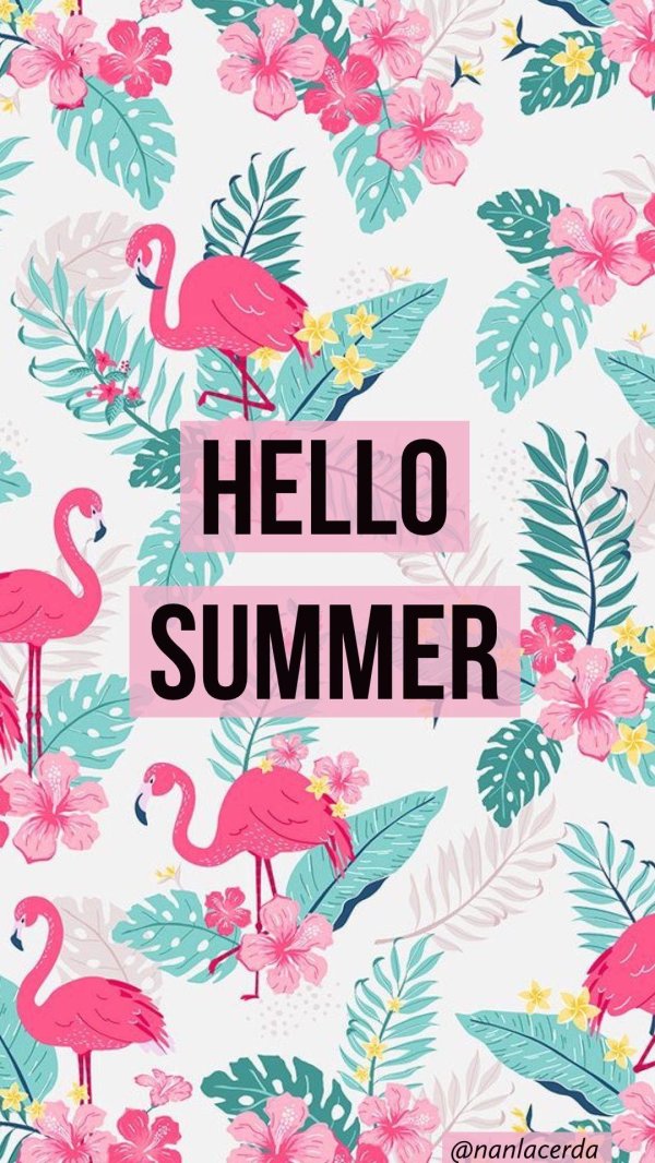 hello summer
