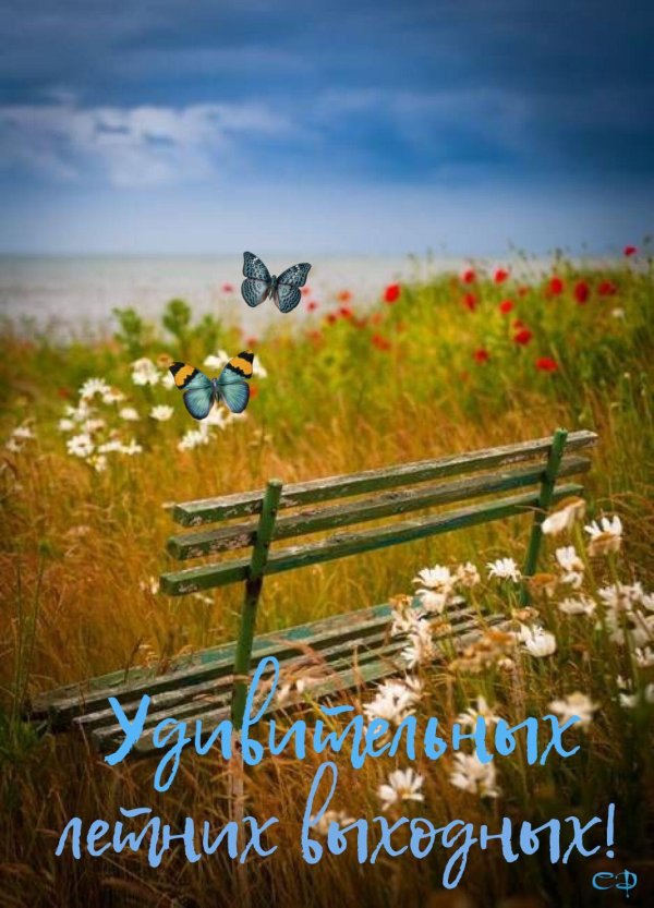 летнее утро доброе