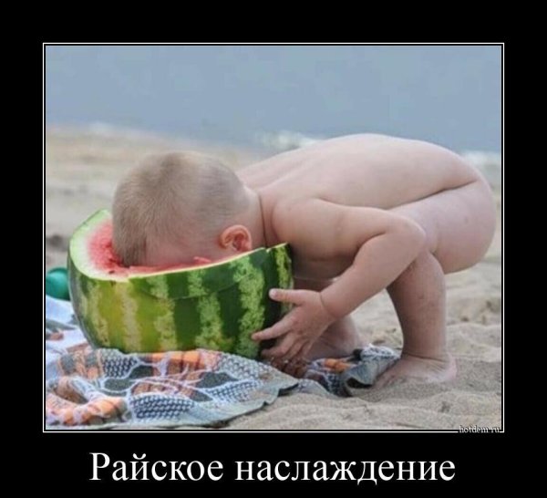 мотиватор прикольный