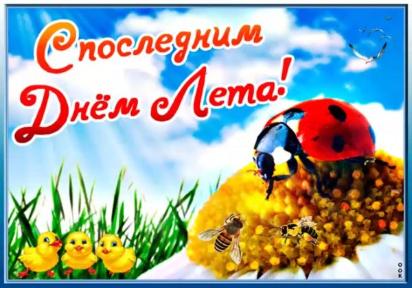 с летом поздравления