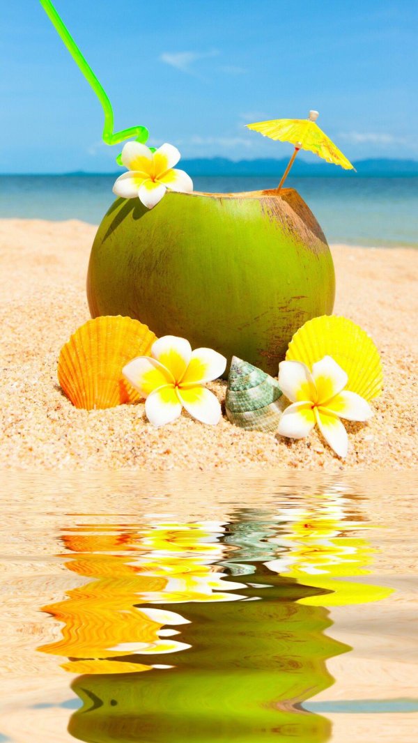 пляжный пейзаж