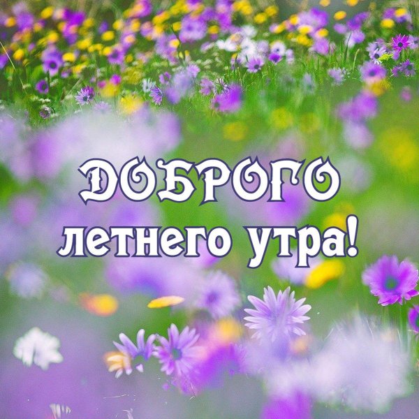 доброго утра летнего