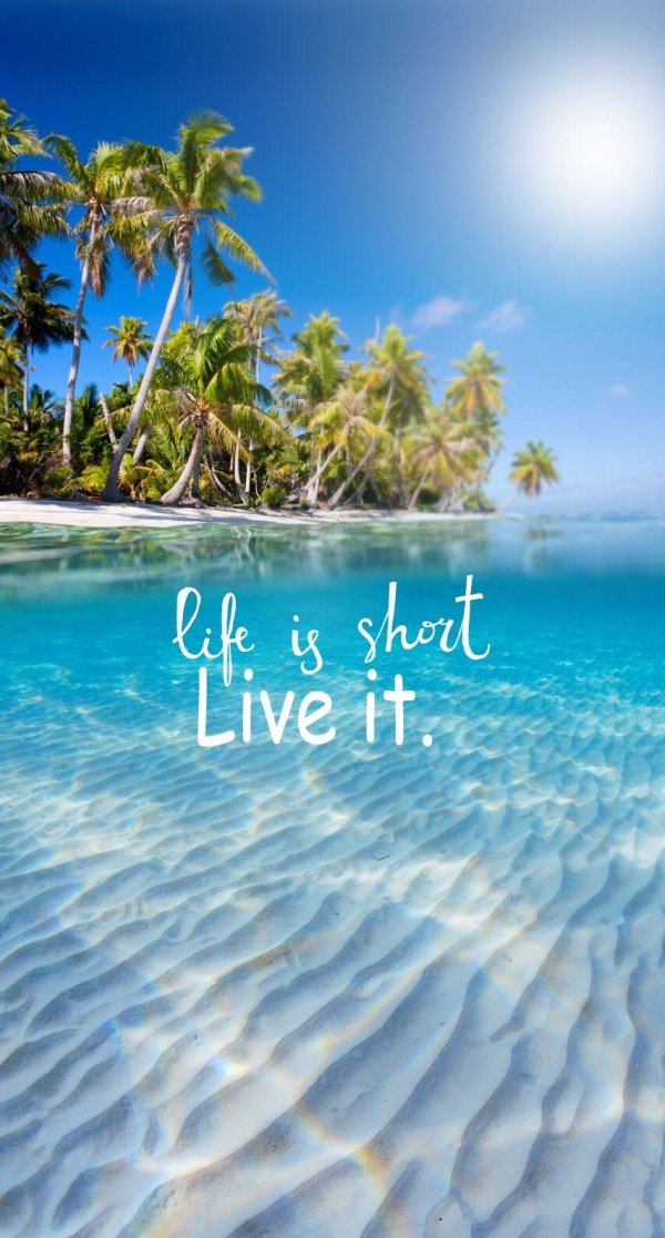 be live it