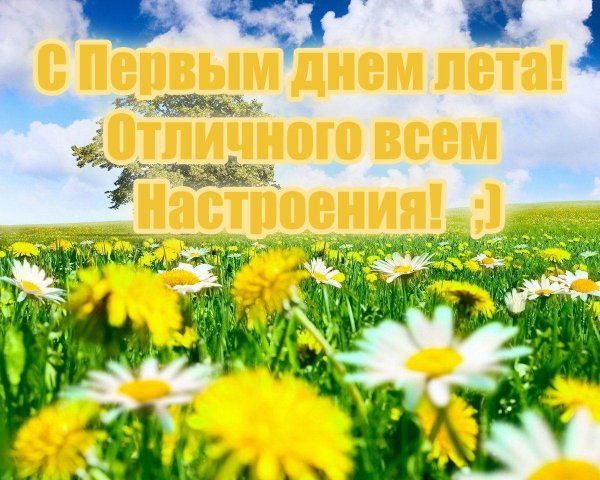 летняя природа