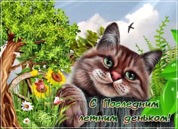 открытка летняя