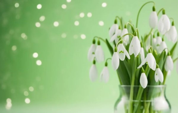 фон подснежники