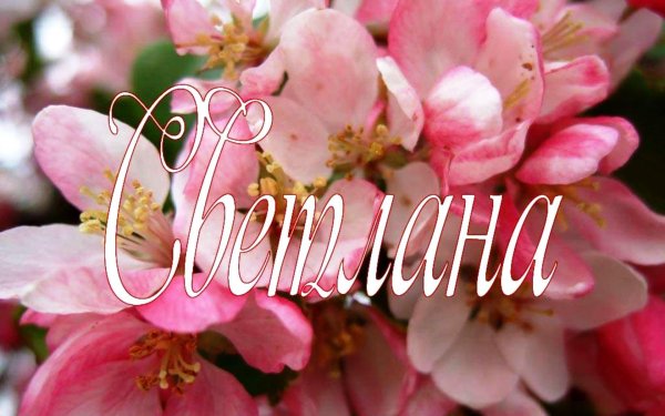 открытки с именем светлана