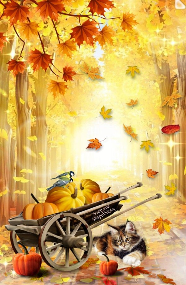 открытка с сентябрьским днем солнечным