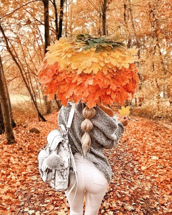 осенний зонт