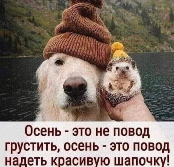 осень юмор