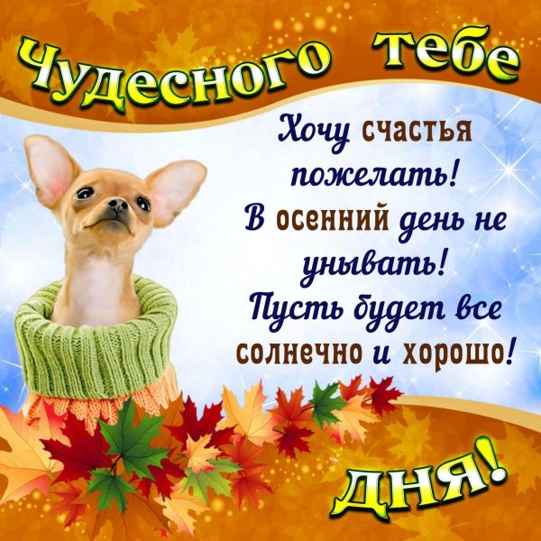 осеннее пожелание