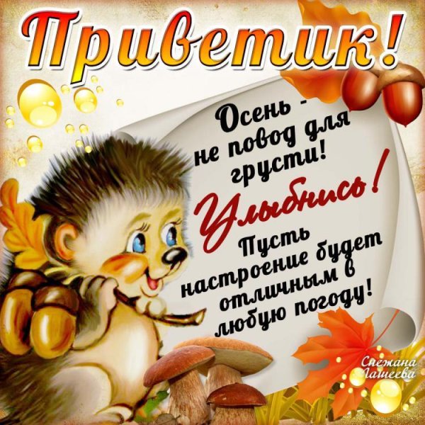 осенний привет