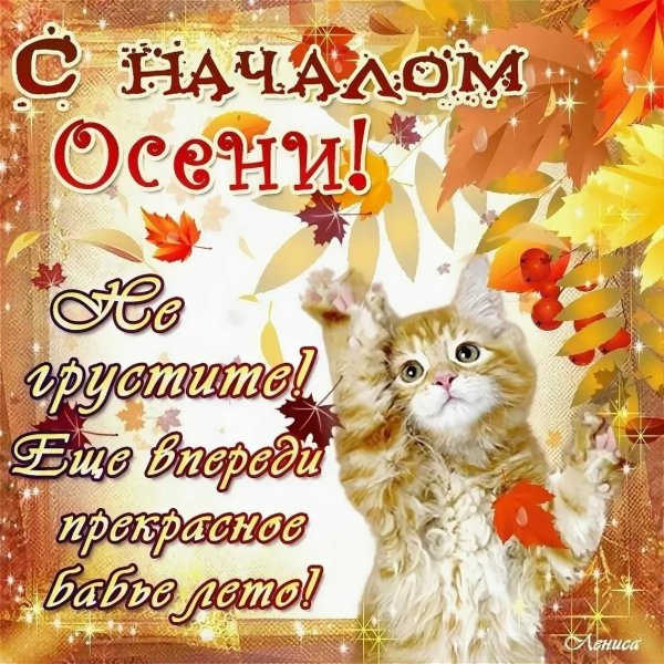 осеннее пожелание