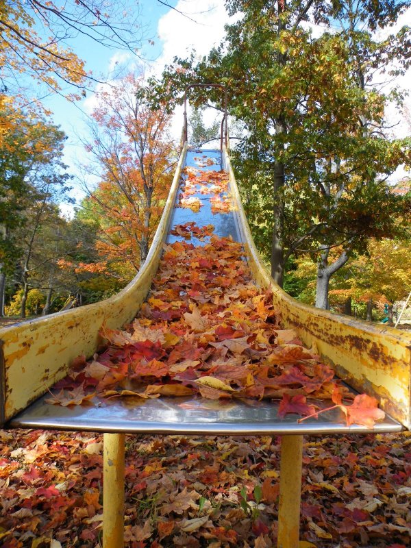 осенние пейзажи