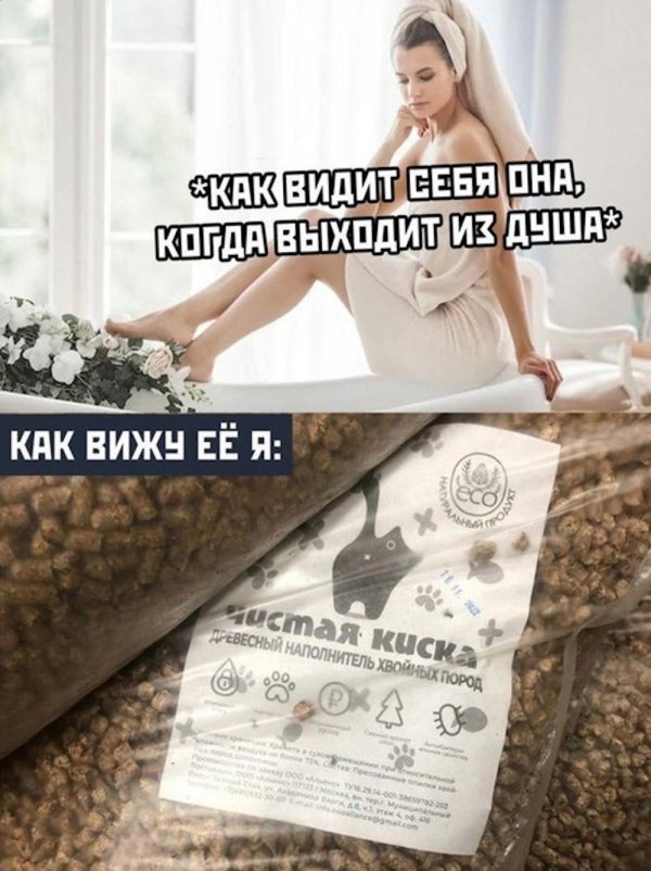 мемы для взрослых