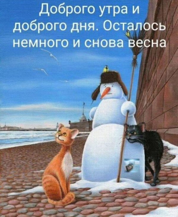 добрая зимнее утро