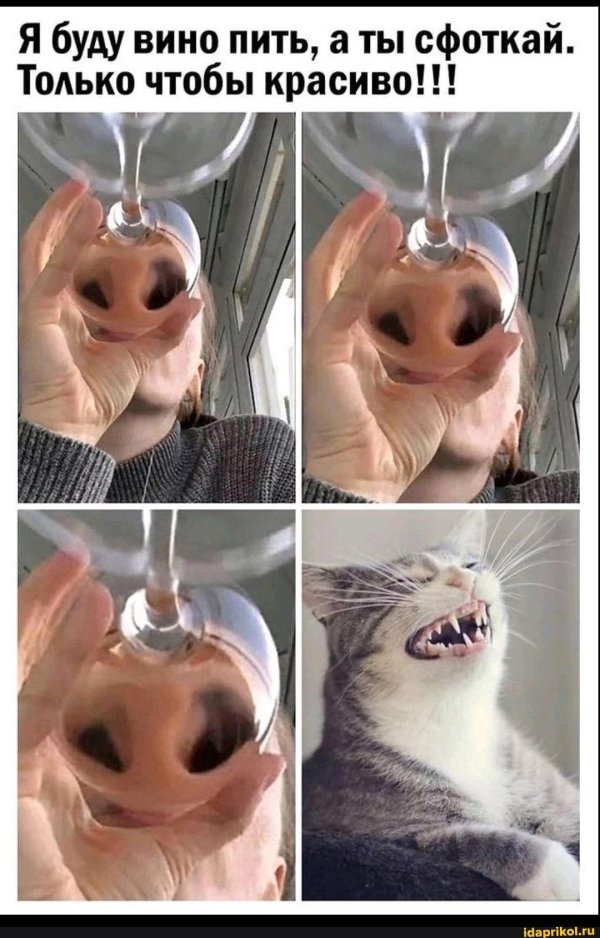 большие бокалы