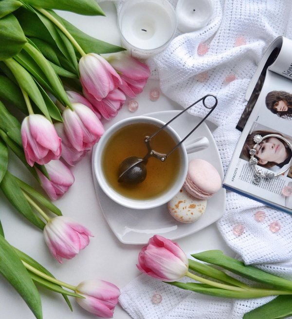 утренние тюльпаны