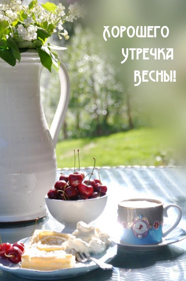 летнее чаепитие