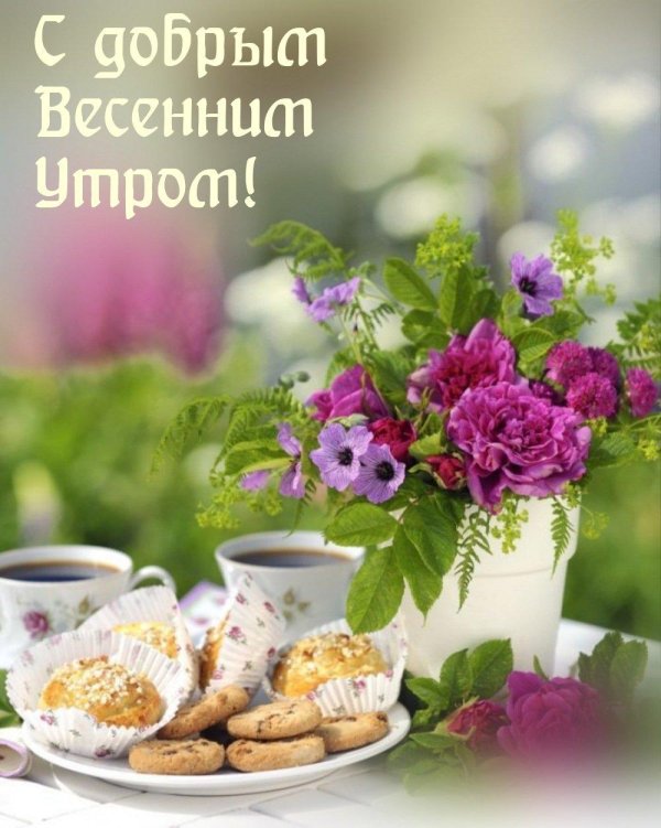 утренние цветы