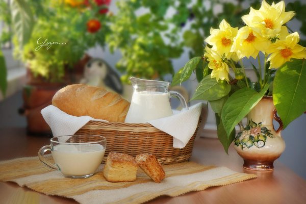 молочный жир