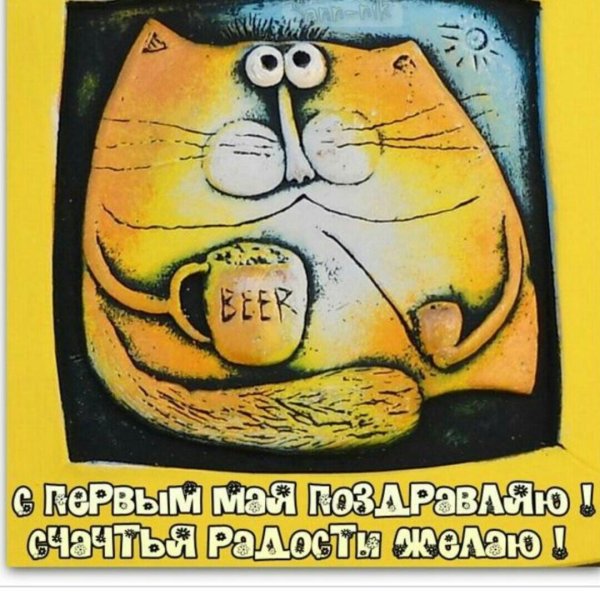 котик из соленого теста