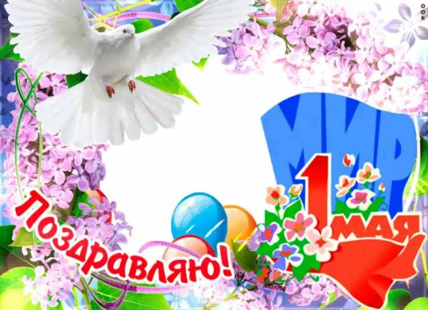 праздником весны и труда открытки