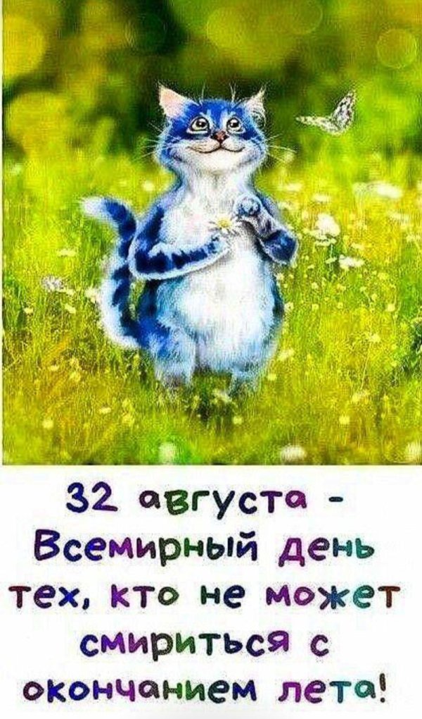 позитивные высказывания