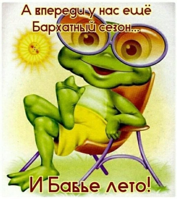 веселый лягушонок