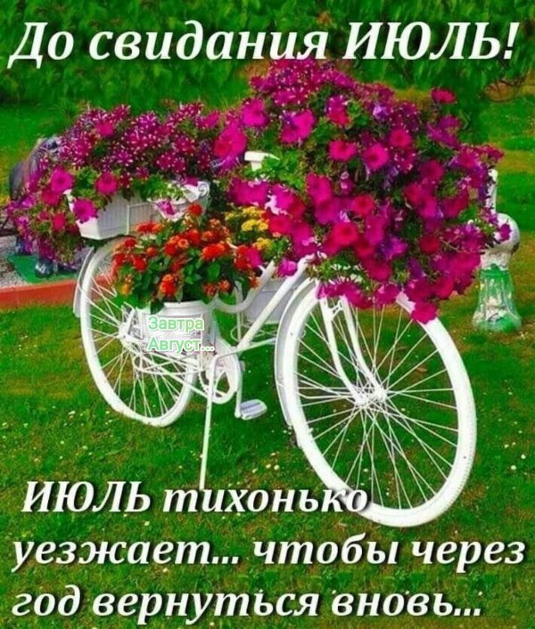 моноклумба петуния