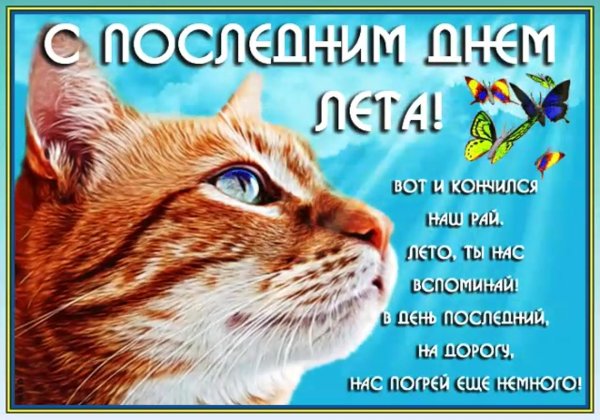 31 августа последний день лета