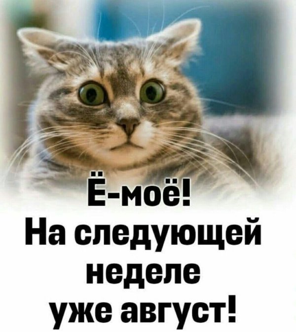 уже август