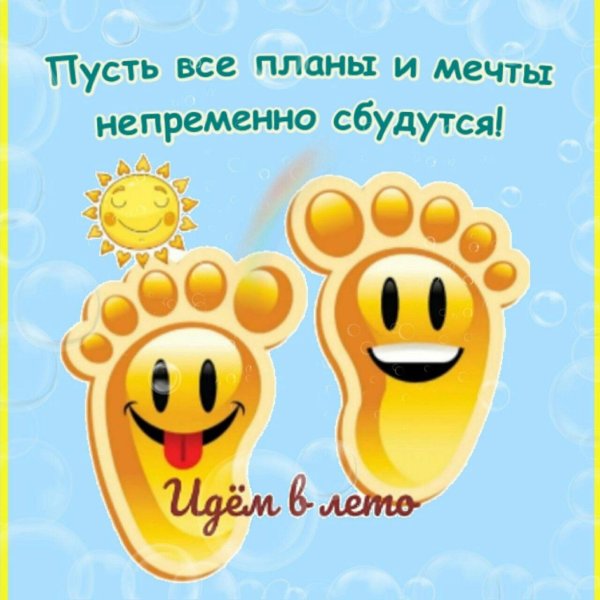 веселые следы