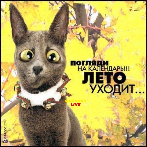 куда уходит лето