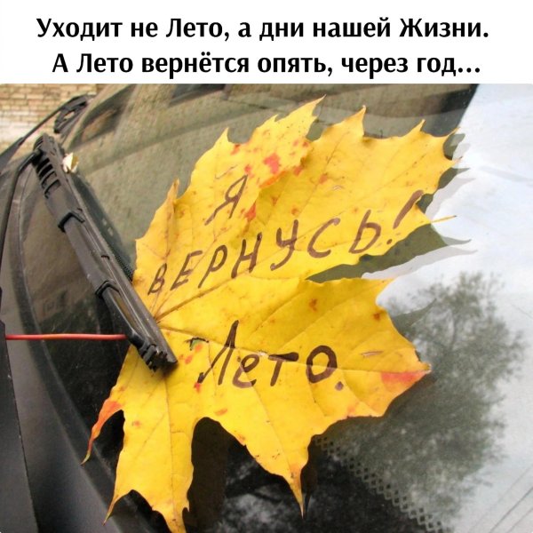 лето вернётся