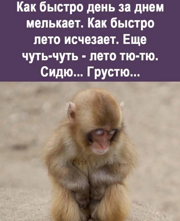 Скоро лето прикольные