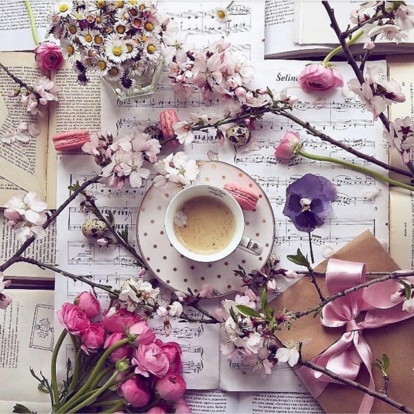 кофе цветок