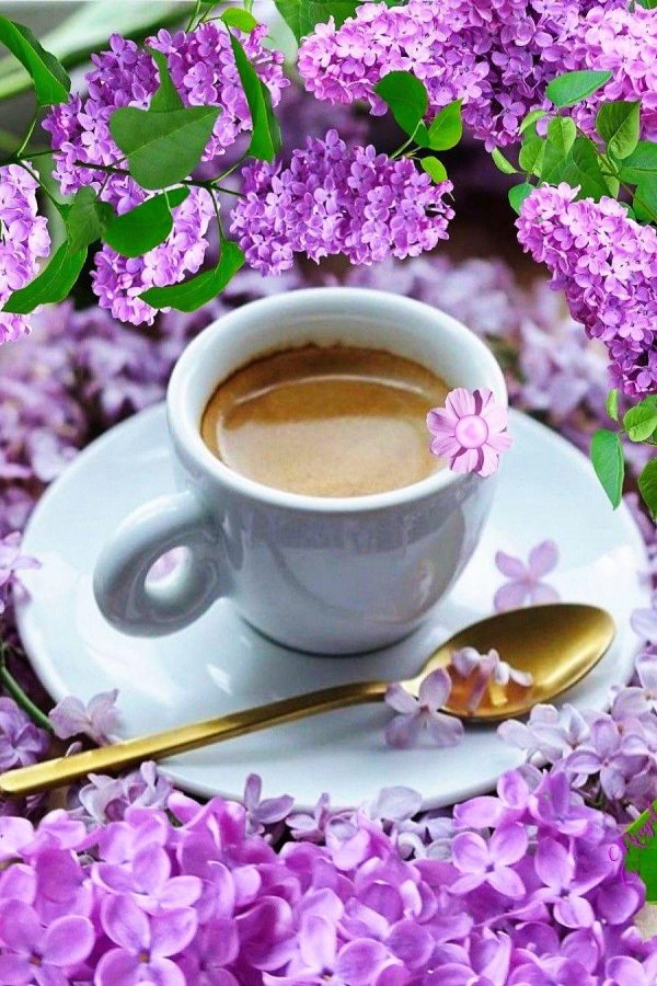 утреннее кофе