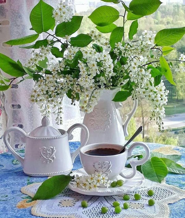 букет черемухи