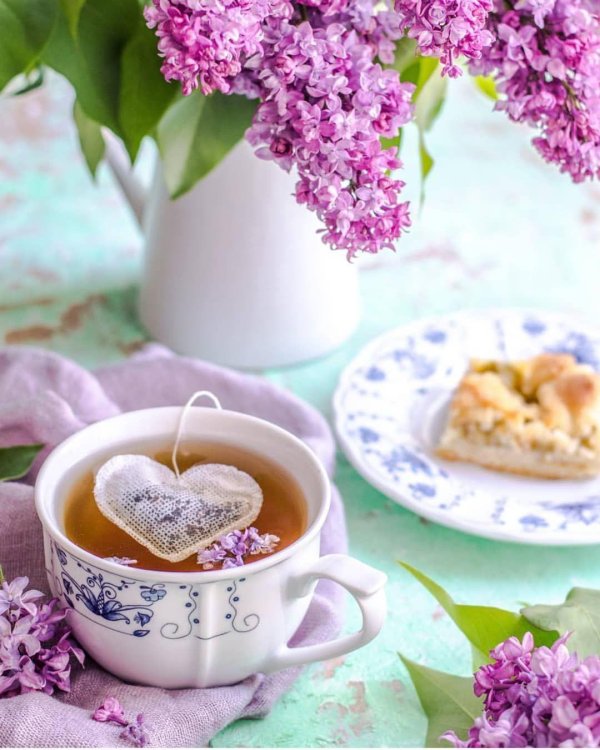 чай и сирень