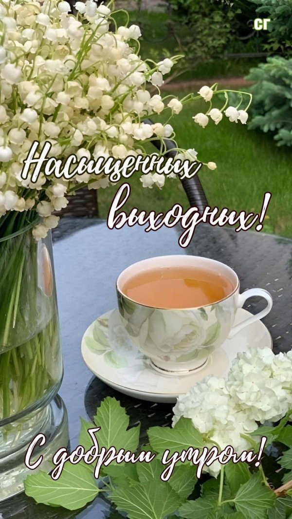 цветы утренние