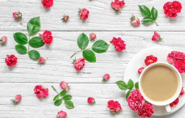 цветы на столе вид сверху