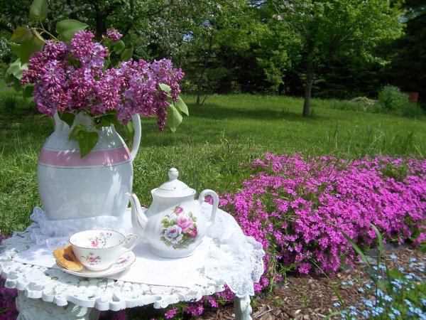 чаепитие на даче