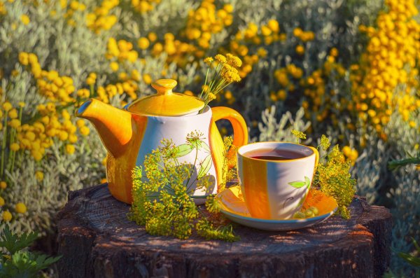 чаепитие на природе