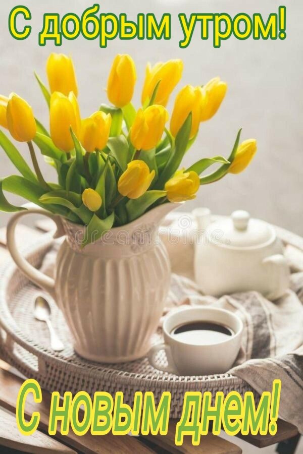 утренние тюльпаны