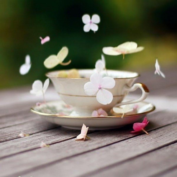 красивая чашка