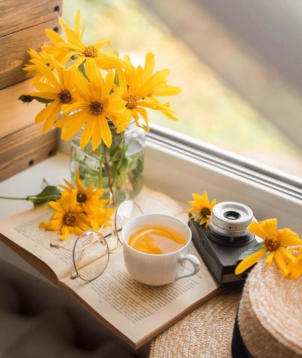 цветы утренние