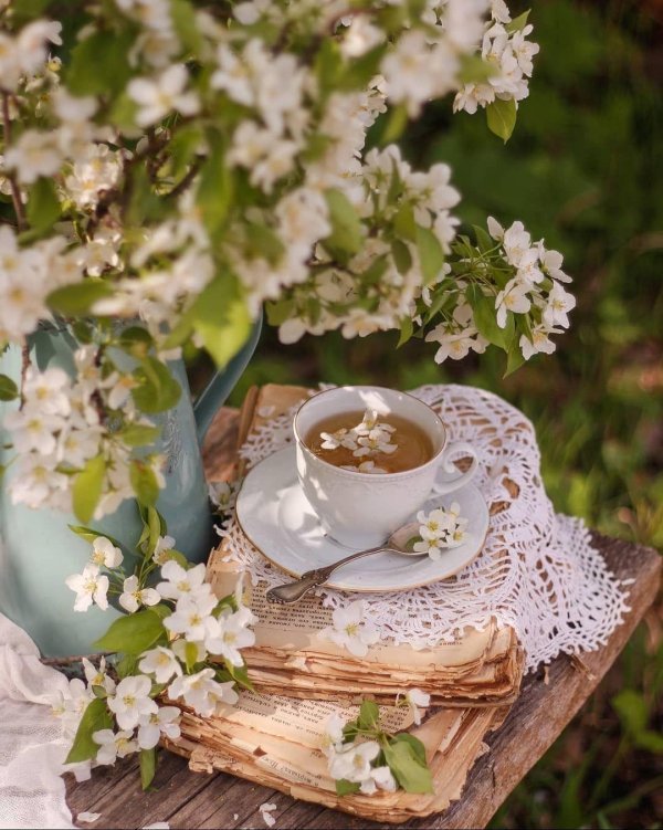 чаепитие на природе